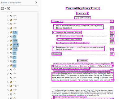 Image of a document A tagged by Adobe Acrobat Pro, illustrating complexity in reading and achieving compliance for untrained users.